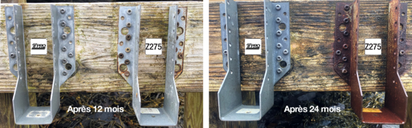 Test results ZPRO 12 & 24 mois