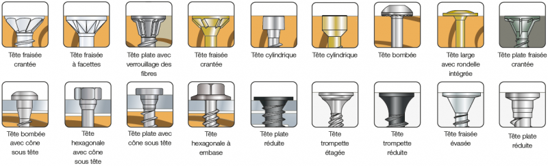 Types de tête - Vis